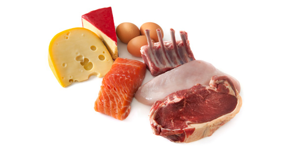Animal Protein as a Carcinogen
